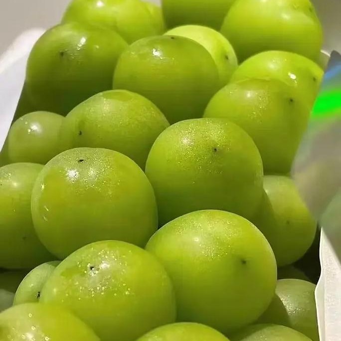 （离石小时达免配送费）砖石精品大颗粒晴王500（洗净）