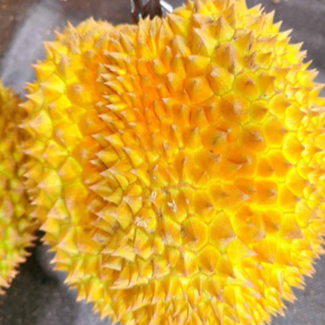 （小时达）泰国金枕鲜榴莲核小19.8元/500g榴莲同城送金枕泰国