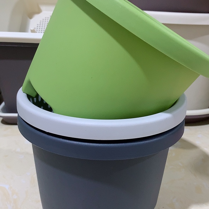 球根口21果绿5个无托