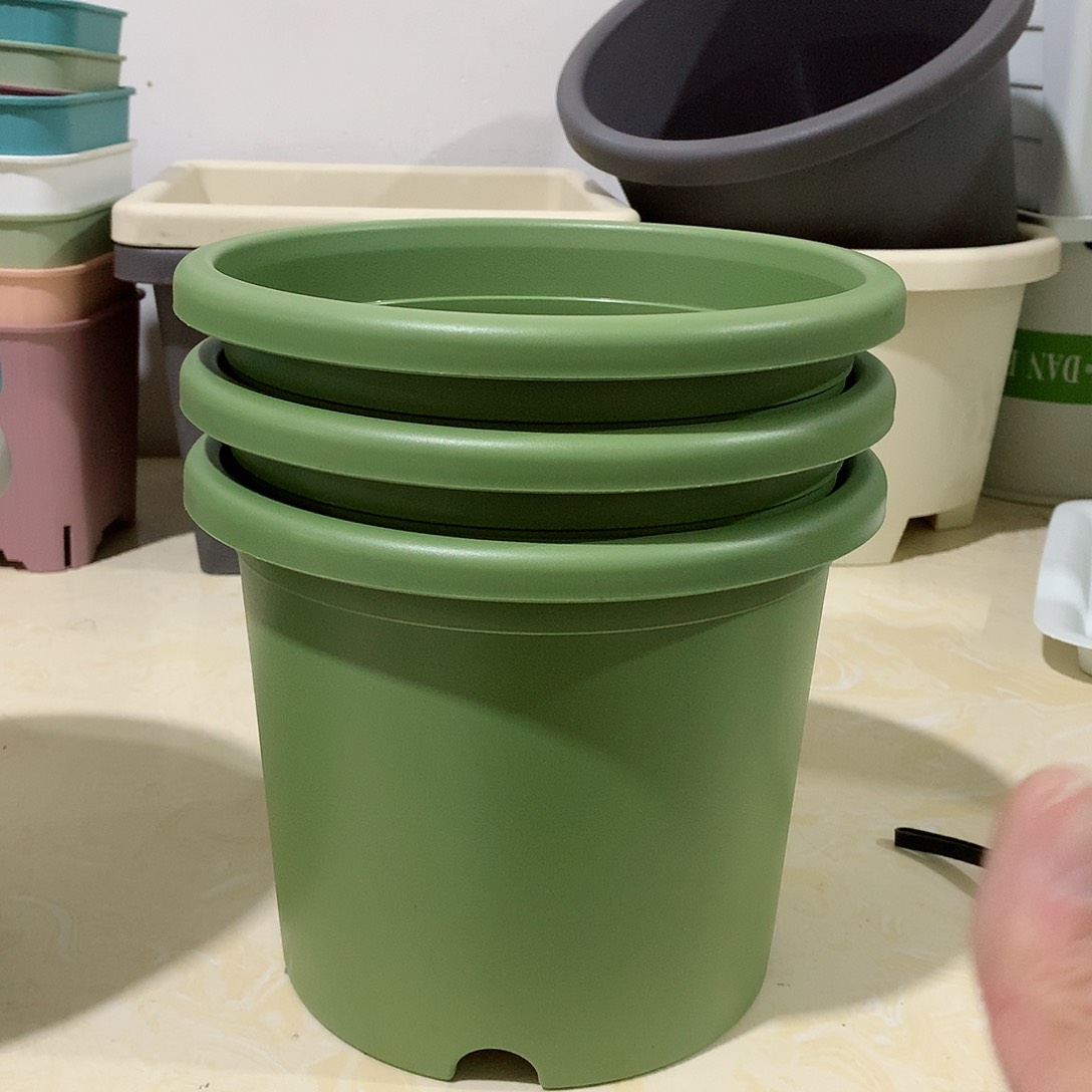 树脂四季口21果绿3个无托