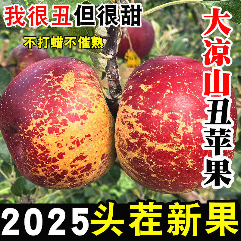 四川大凉山冰糖心丑苹果新鲜现摘脆甜多汁红富士孕妇水果整箱包邮