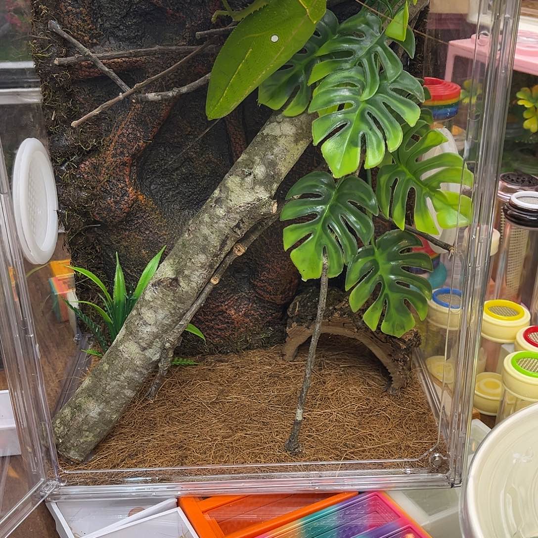 精***盒热➕2巨拟哈哈哈哈哈