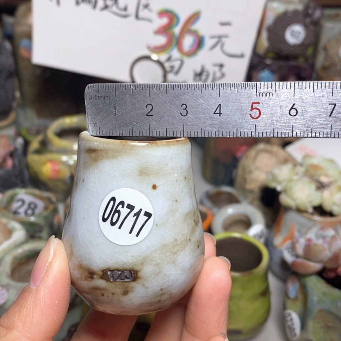 花盆拍5送一个小礼物