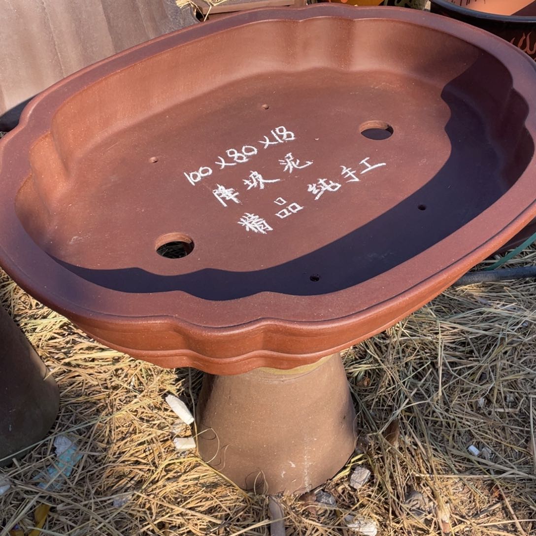 特价处理紫砂一只