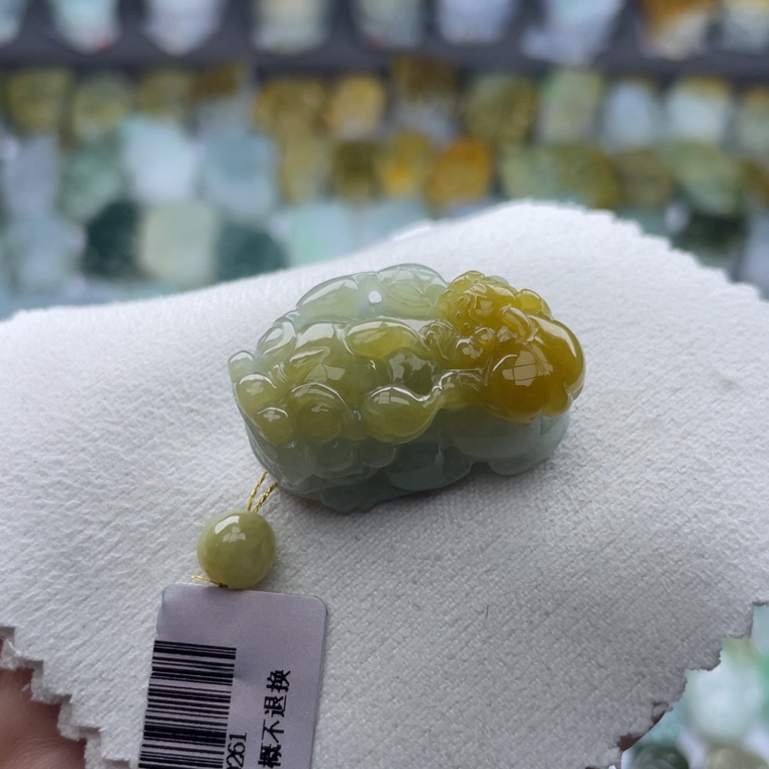 翡翠未镶嵌颈饰貔貅5