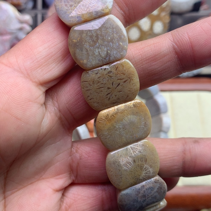 硅化珊瑚（珊瑚玉）颈饰未镶嵌