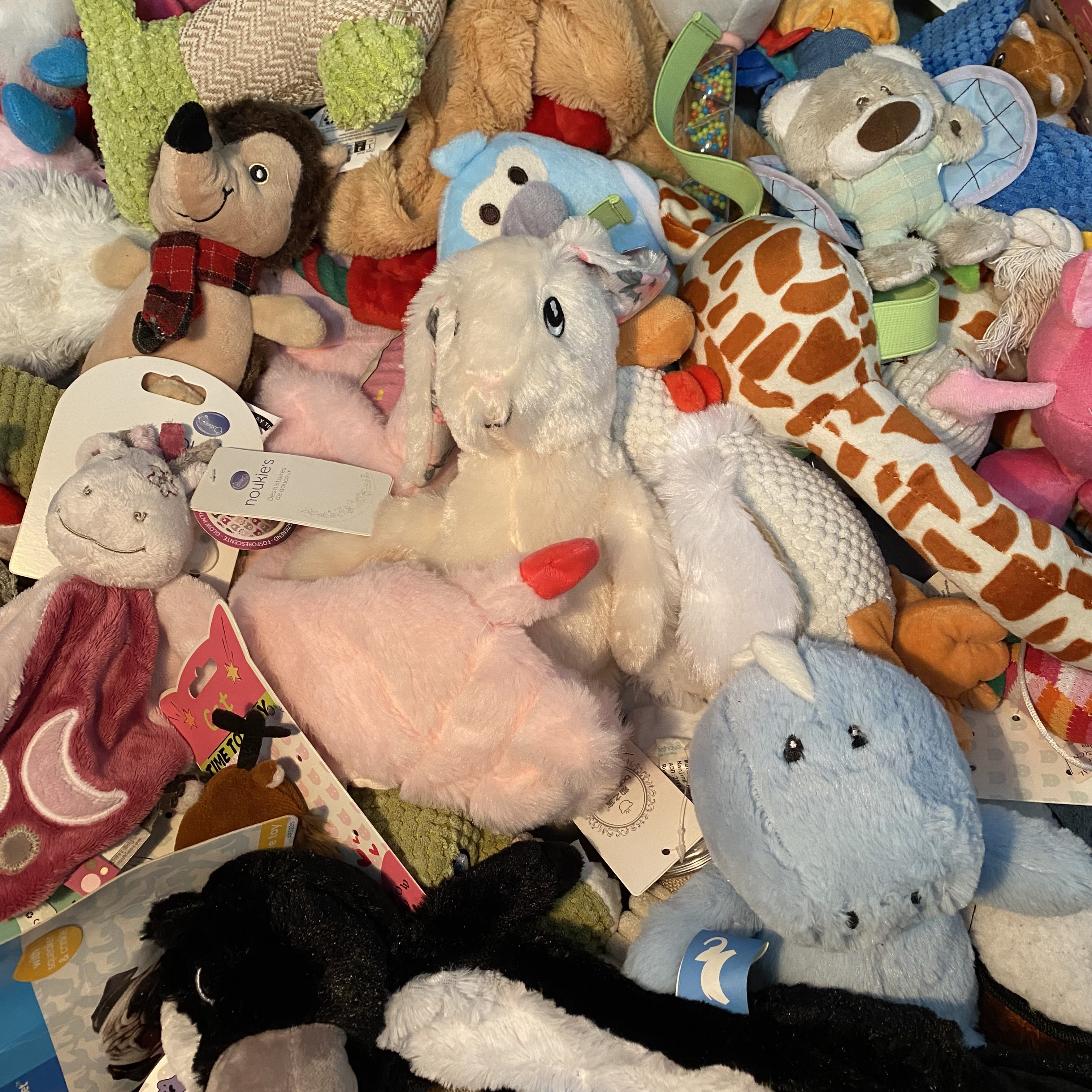 宠物玩具 猫狗玩具 拍主播配单对应编号 各种玩具类型不断更新