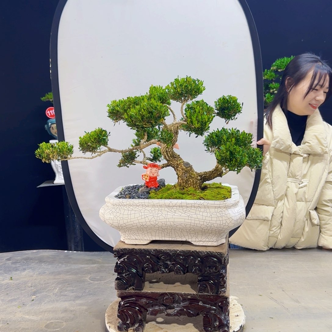 高端盆景艺术作品