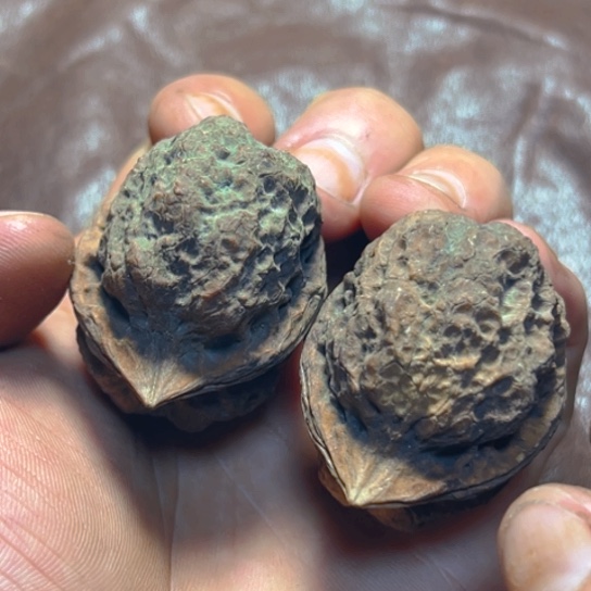 文玩核桃把件18号尖嘴蟾卡44