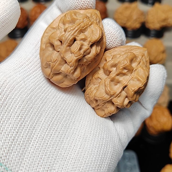 文玩核桃吊坠蝎子王38尺