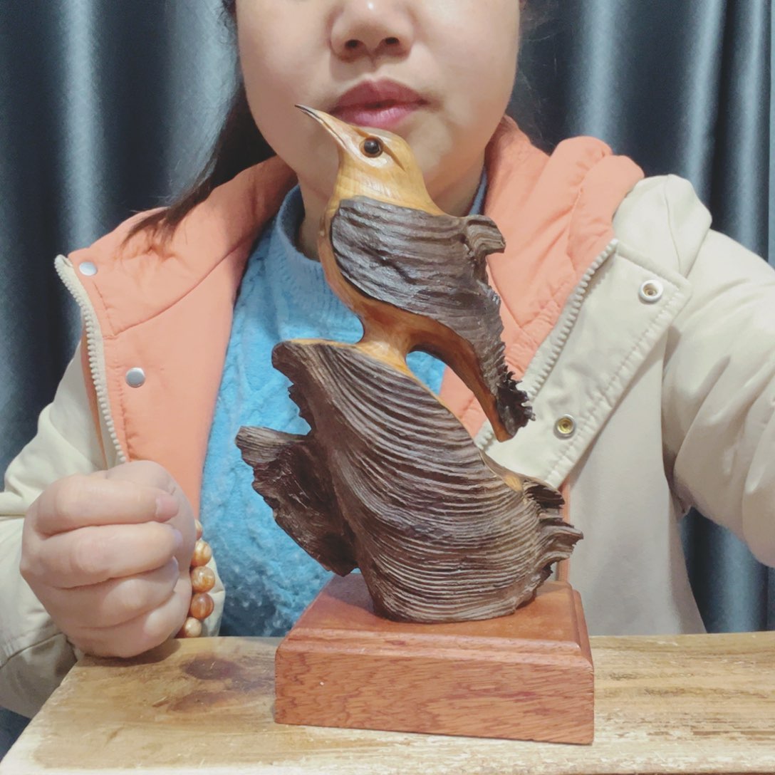 星**海百年树的生长环境