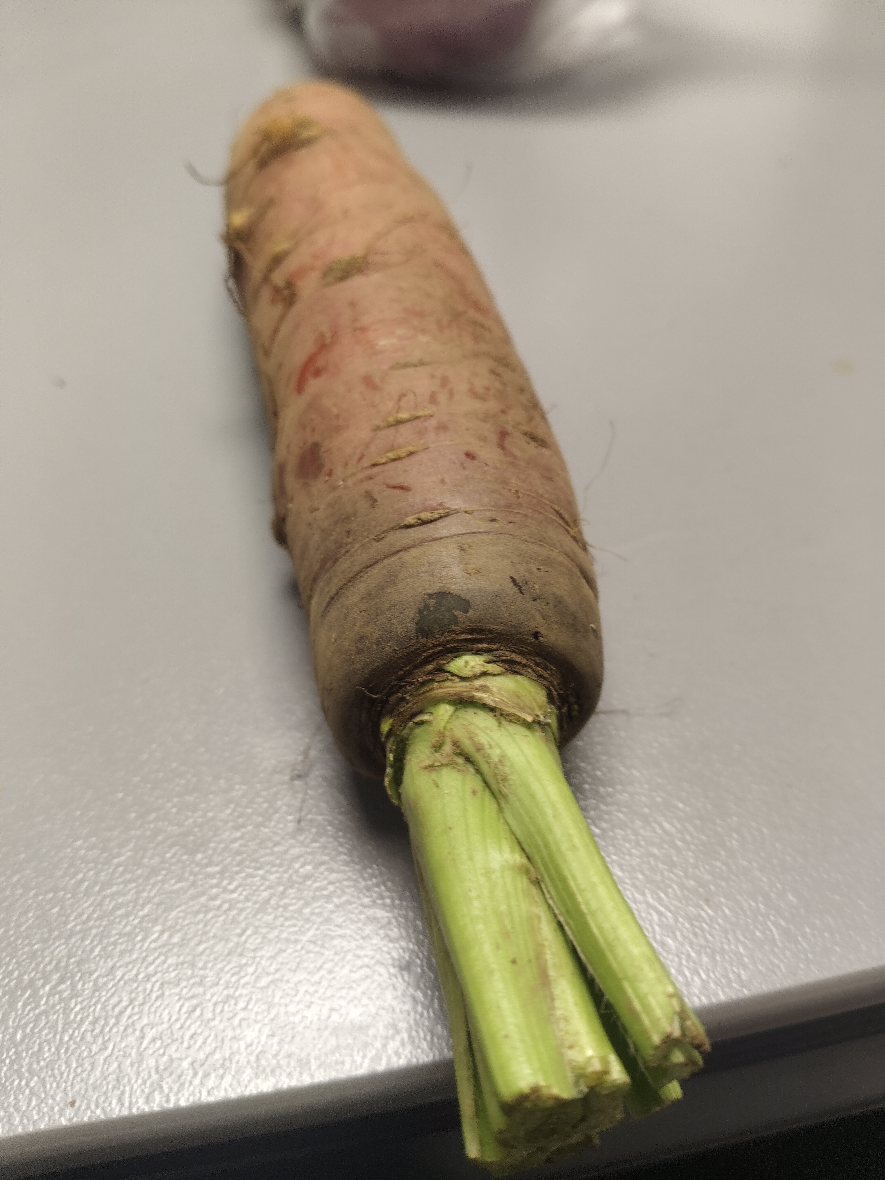 新鲜沙地水果胡箩卜