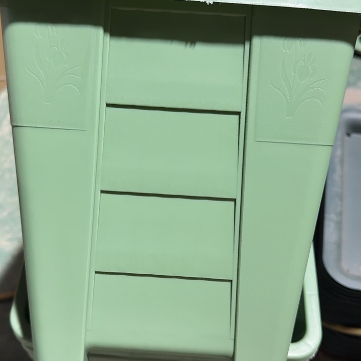 编号303果绿无托6个