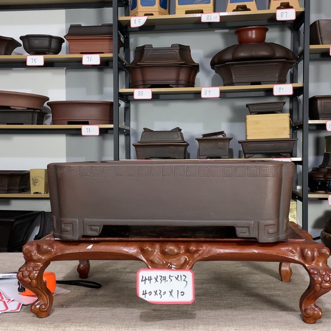 红陶57897787655665888