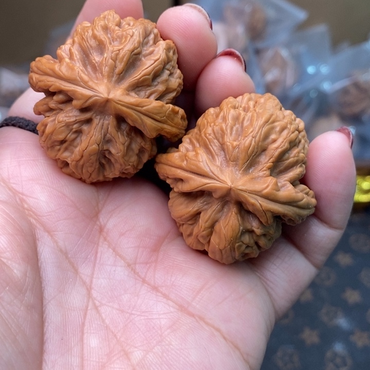 核桃红锦鲤40尺核桃