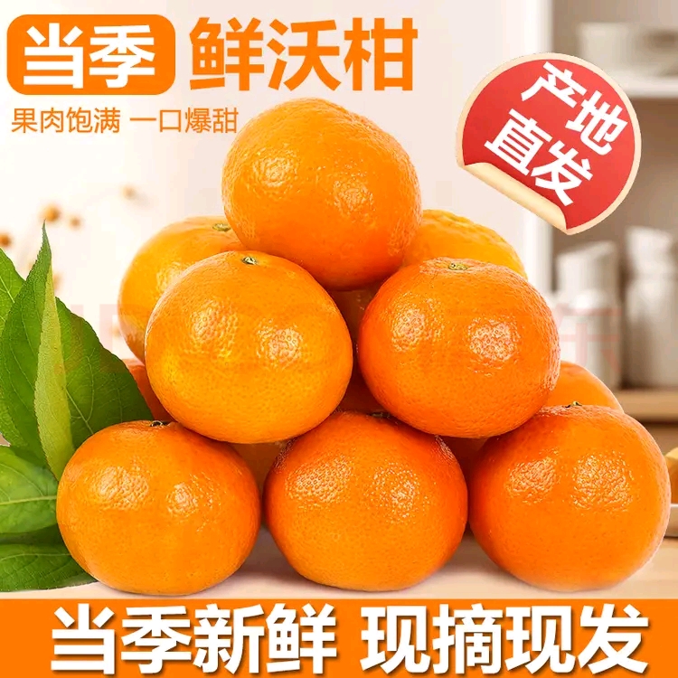 Y2广西正宗武鸣沃柑老树头茬果新鲜采摘清甜多汁皮薄肉厚农家