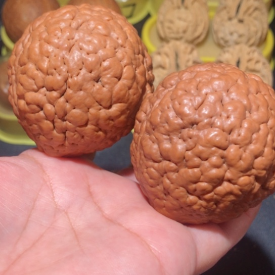文玩核桃把件徐*脑纹金刚菩提