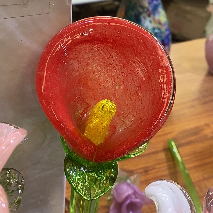 夜光花高45厘米宽8厘米