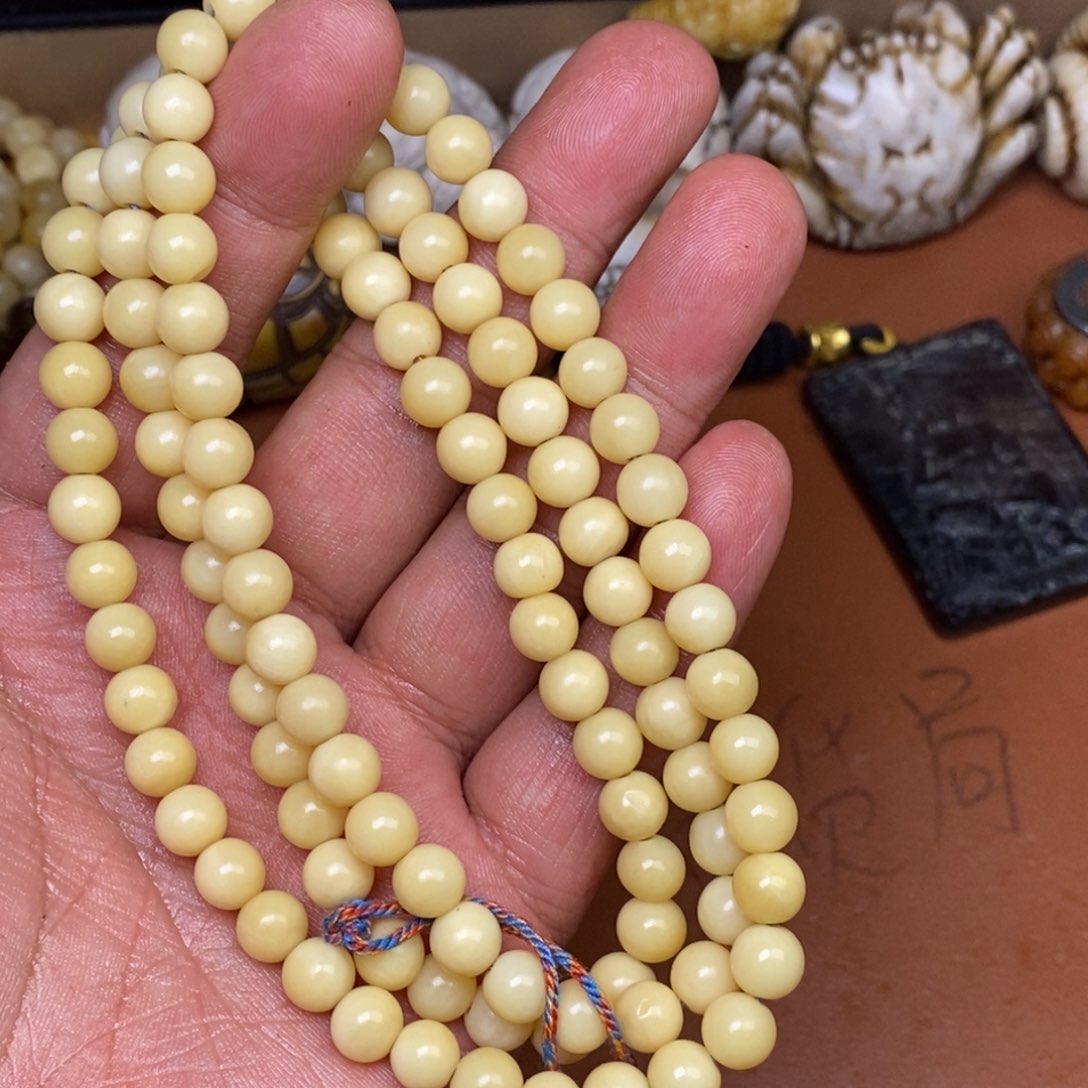 其他驼骨人工样子