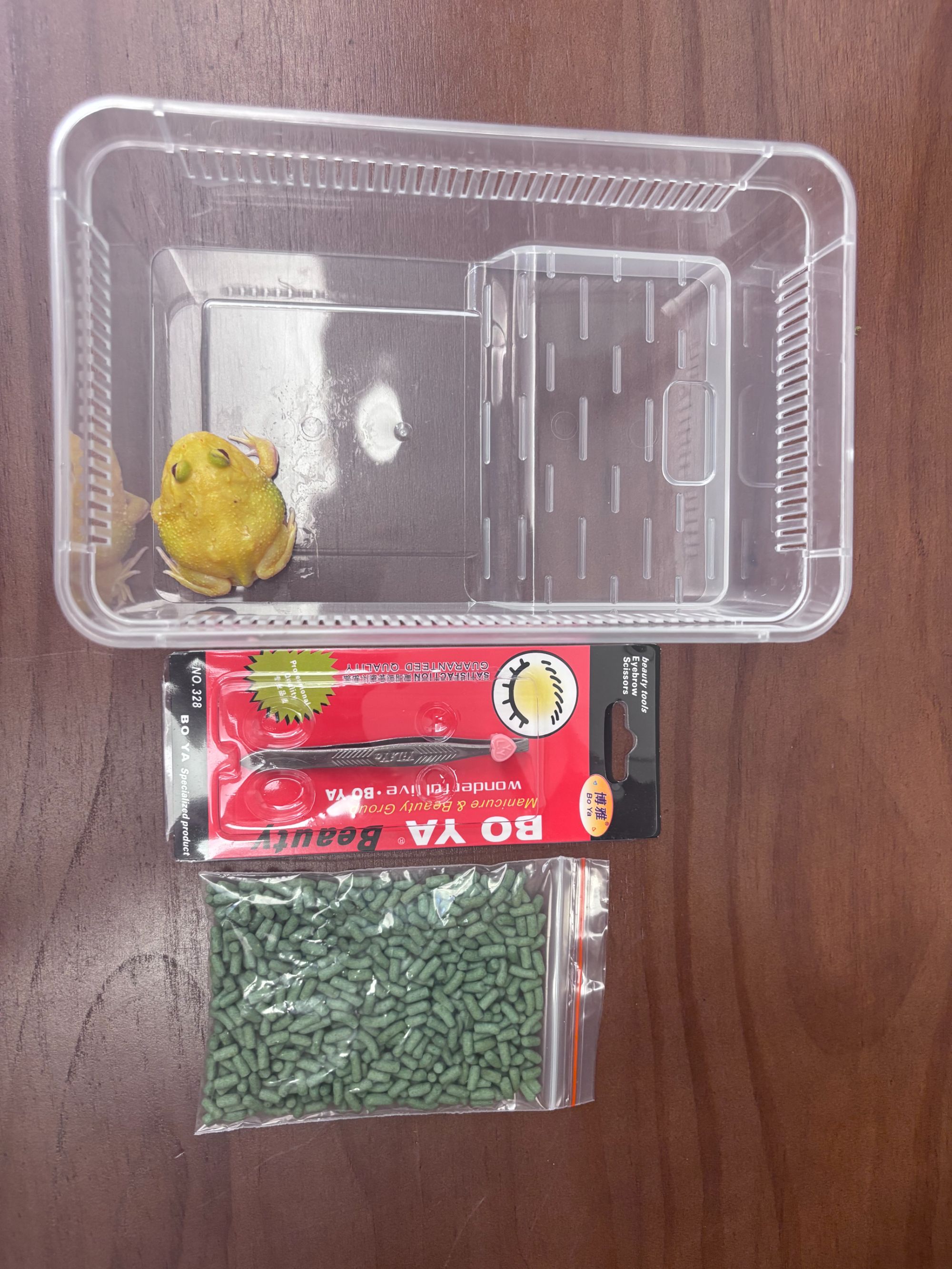 新人套餐  水陆盒 镊子 蛙粮一包