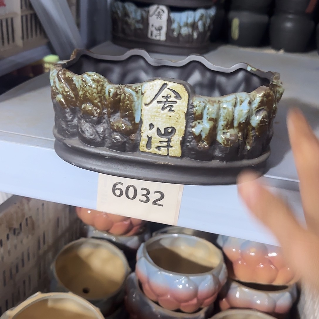 特价盆·天姿添香·福利局·凑9元发·