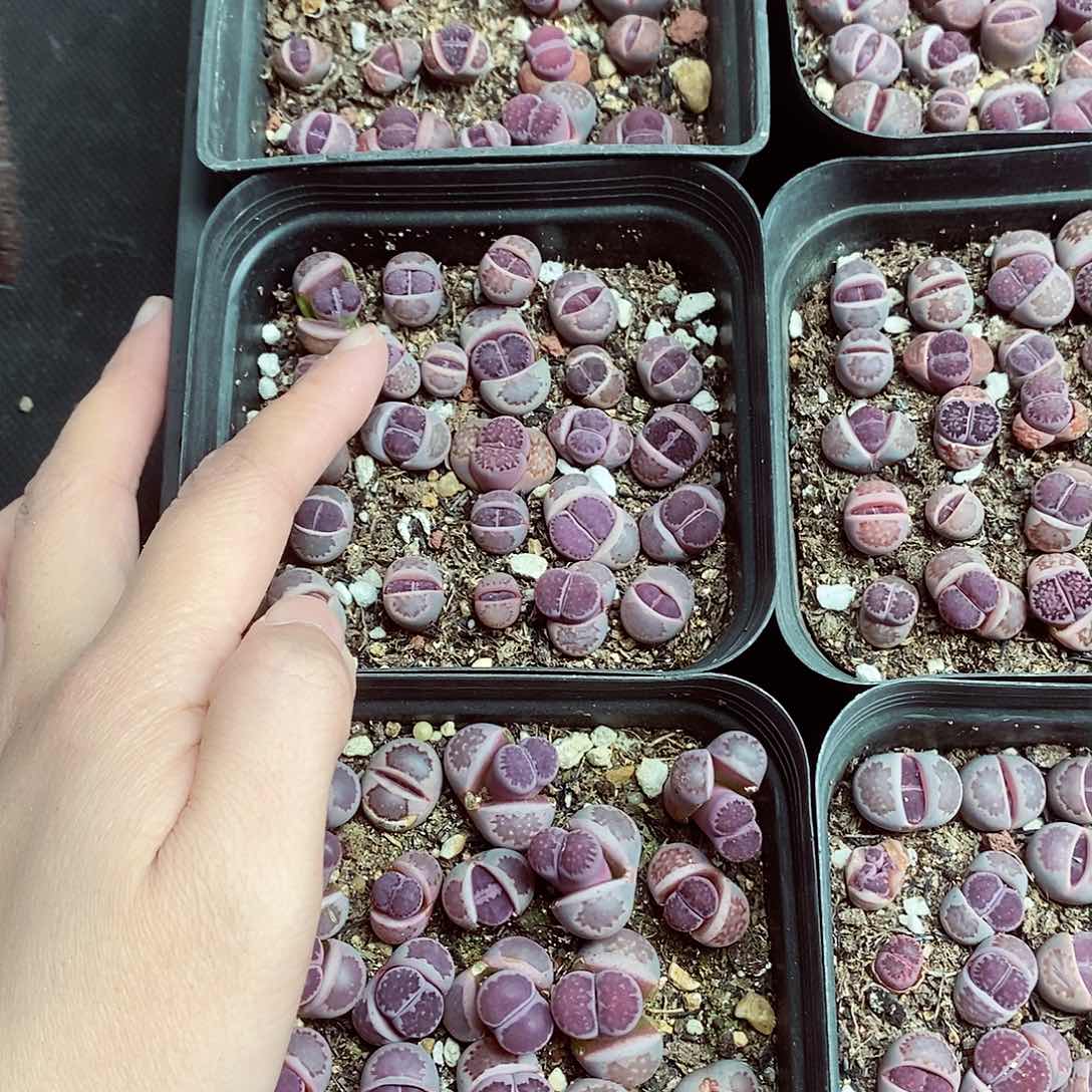 我还能去找我同学么611