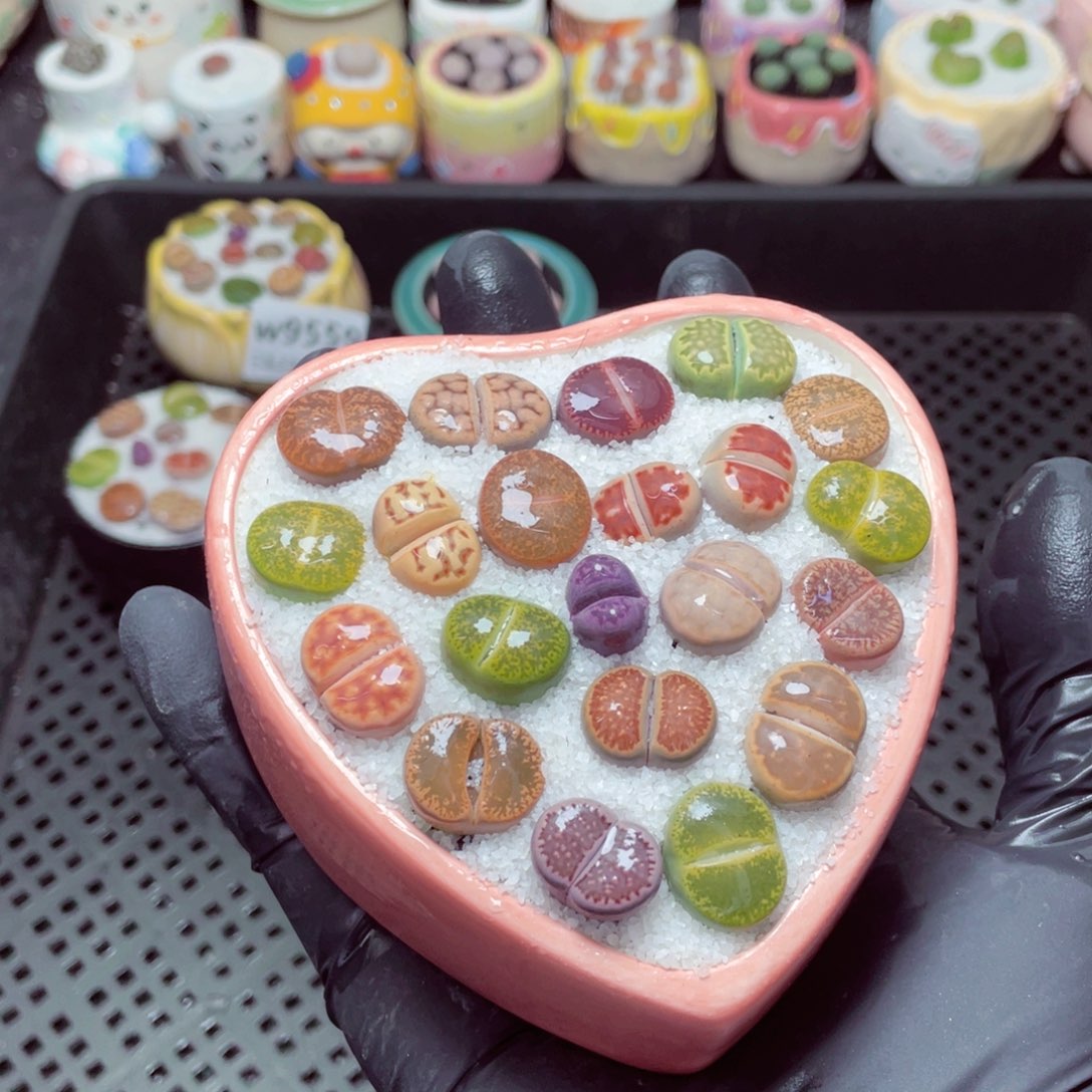 w9563--零下地区拍保温箱，-15度支持寄养