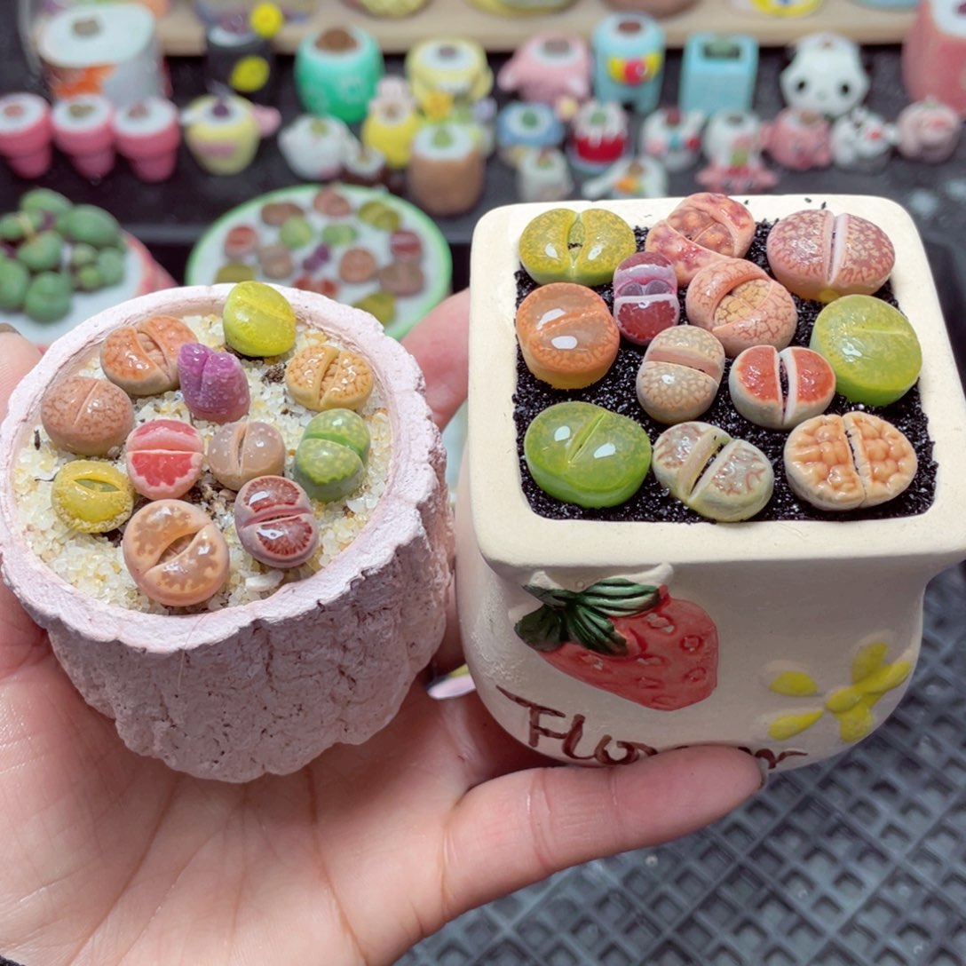 w3865 带盆土发货-零下地区拍保温箱