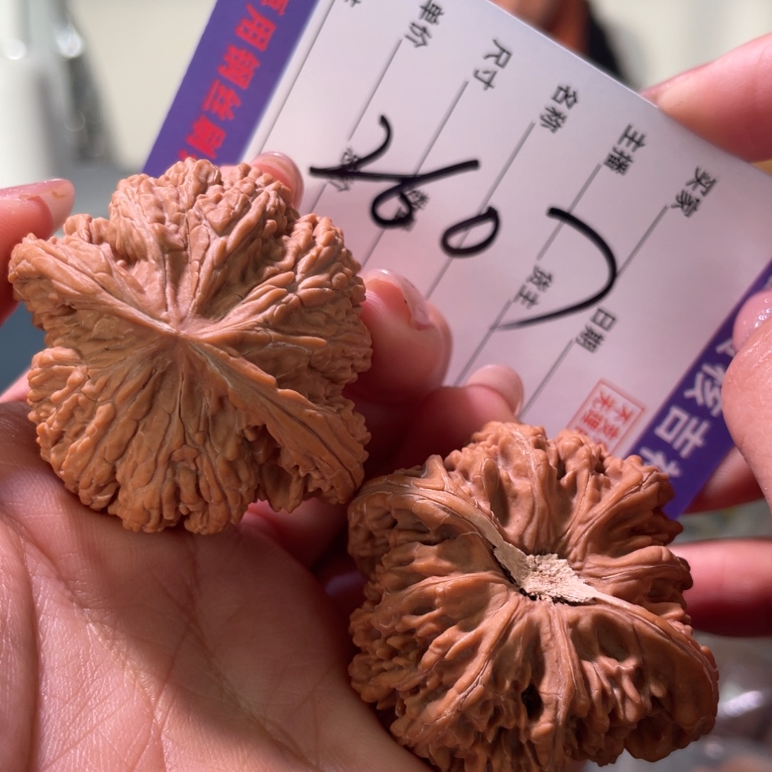 把件核桃45左右球形密纹凹底石膏底脐