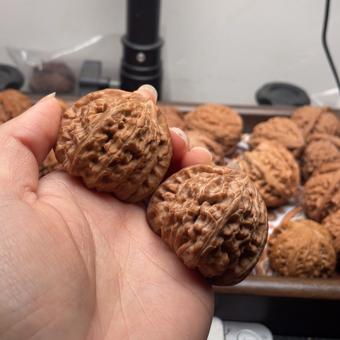 罗***炮手串/手链核桃白狮子43尺全品