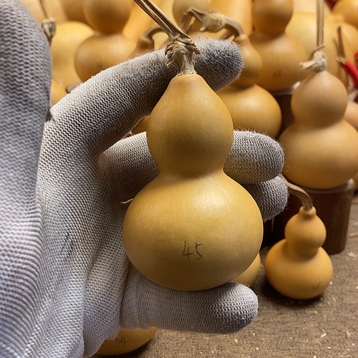 文玩葫芦 完美主义者 慎拍45