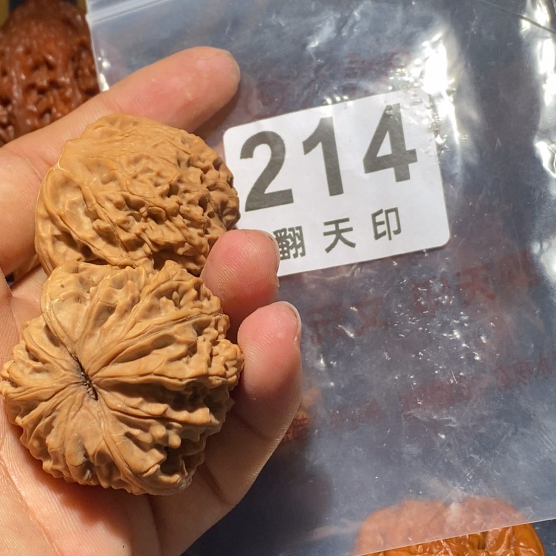 核桃手串/手链野生