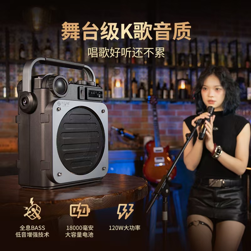 See Me Here/不见不散D6户外K歌音响麦克风声卡手提便携广场舞