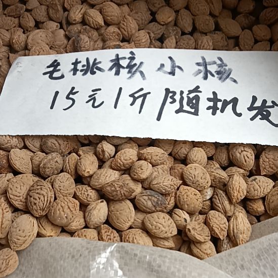 桃核吊坠野生山桃核毛桃核15元一斤随机发