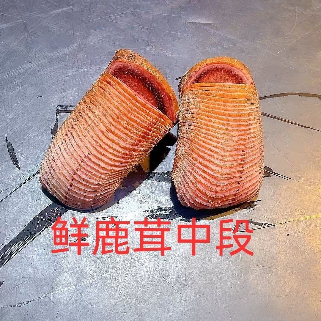 新鲜中段可切片用于泡酒煲汤炖菜