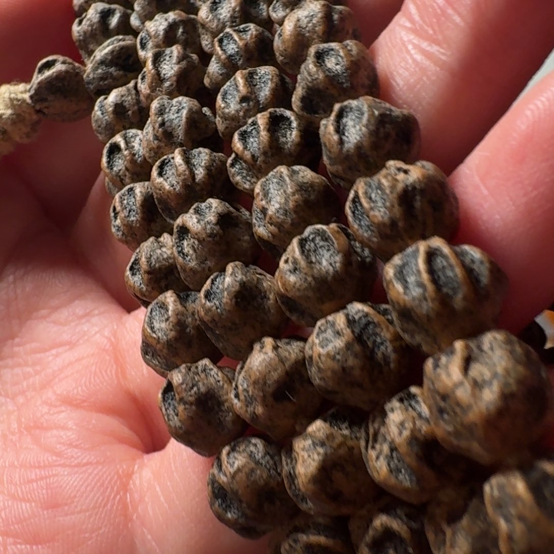 吊坠柏香籽/百香籽