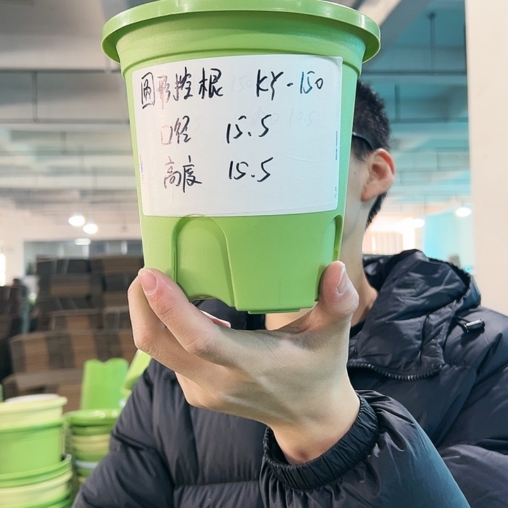 正品圆控口15高15果绿无托10只