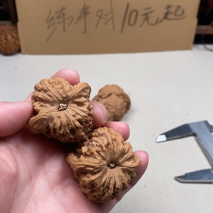 叔***瑞龙脊菩提吊坠2.2.2.2,2.2.2,2
