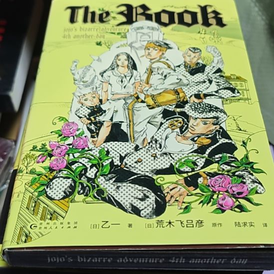 THE BOOK书衣微瑕（务必塑封）刷边