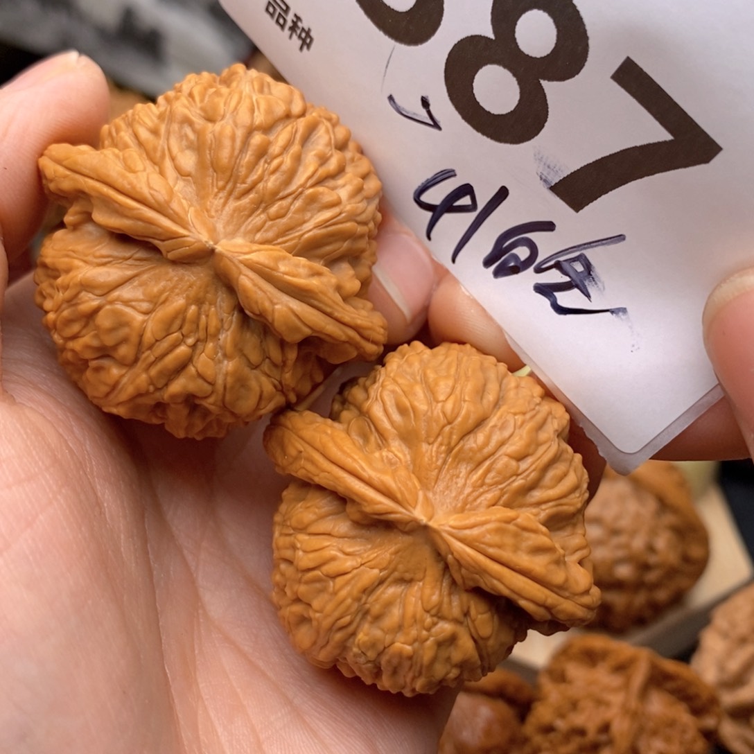 文玩核桃把件387号41白全