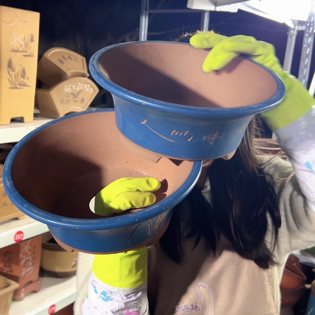 27+27蓝票口花盆花盆