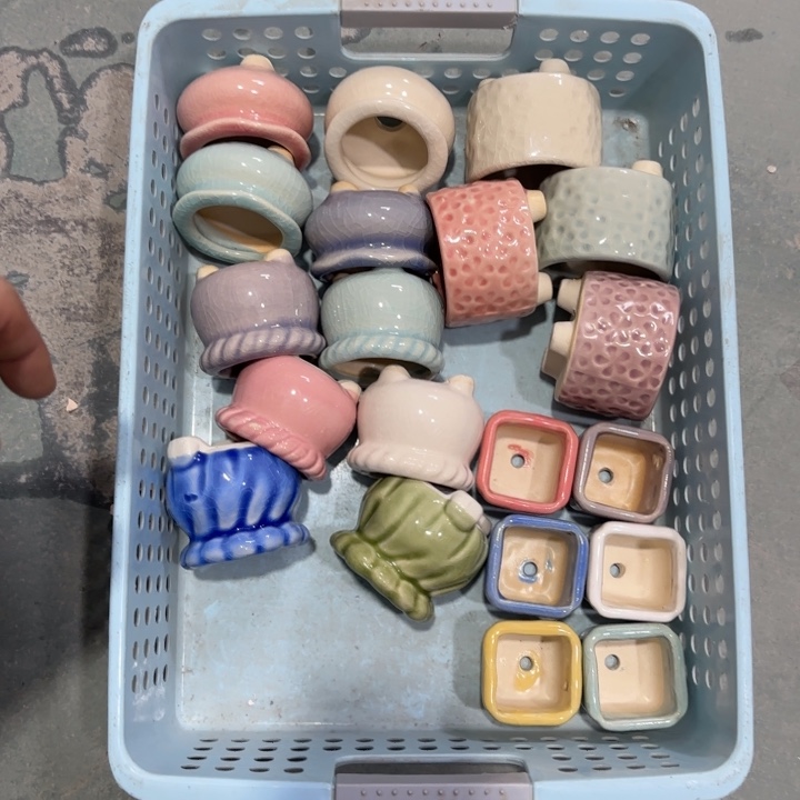 20个《所有单满15发（花盆）》