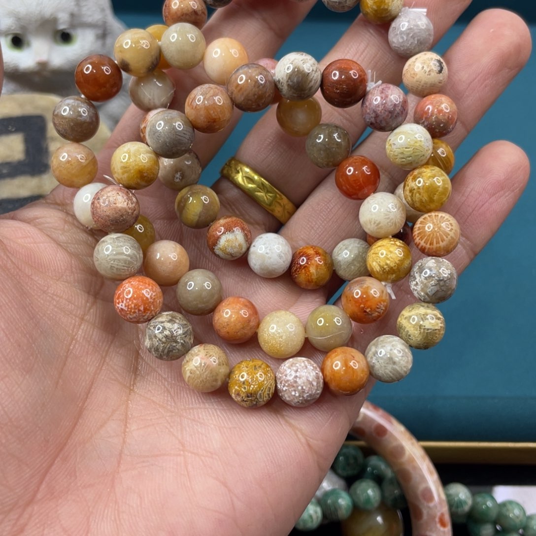 未镶嵌手镯硅化玉