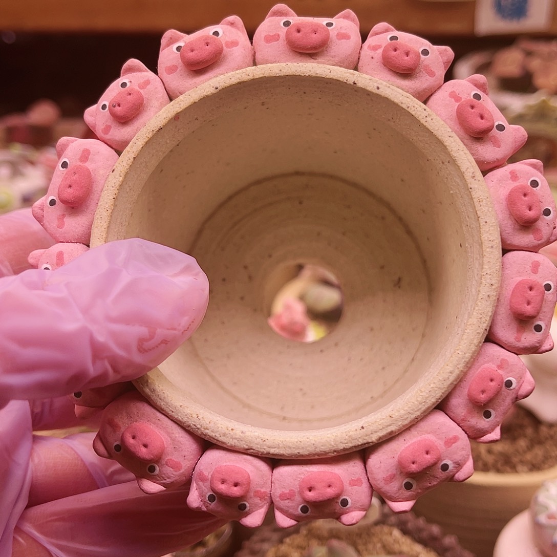 老盆一圈猪猪yan陶