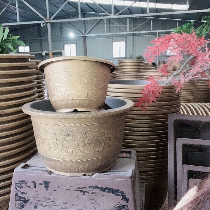 圆50两个有孔的金色