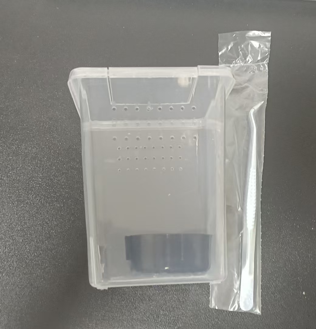 树蛙饲养盒套装宠物异宠小宠物两栖爬宠