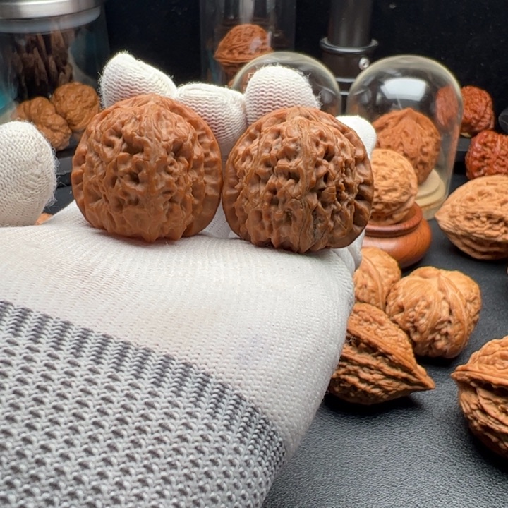 文玩核桃把件留**歌36全品无药小白