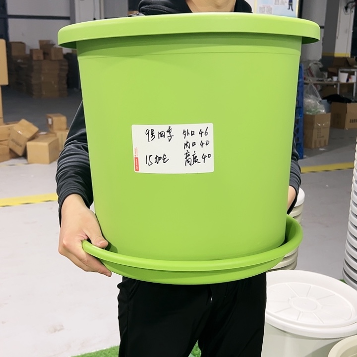 特价9号口46高40果绿色2只带托