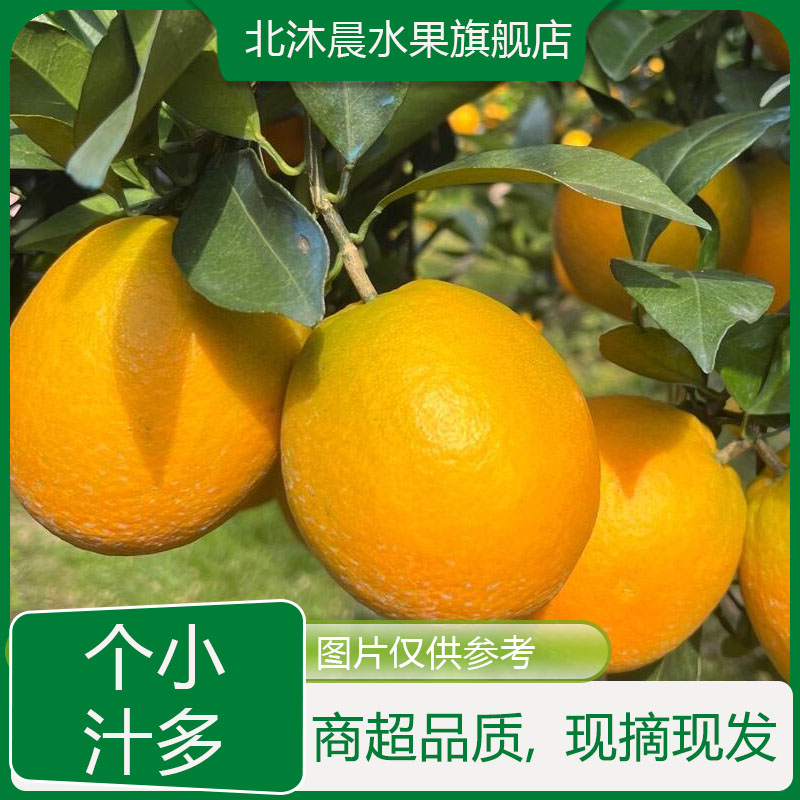 【鲜甜多汁】W正宗赣南脐橙应季水果酸甜多汁送开果器