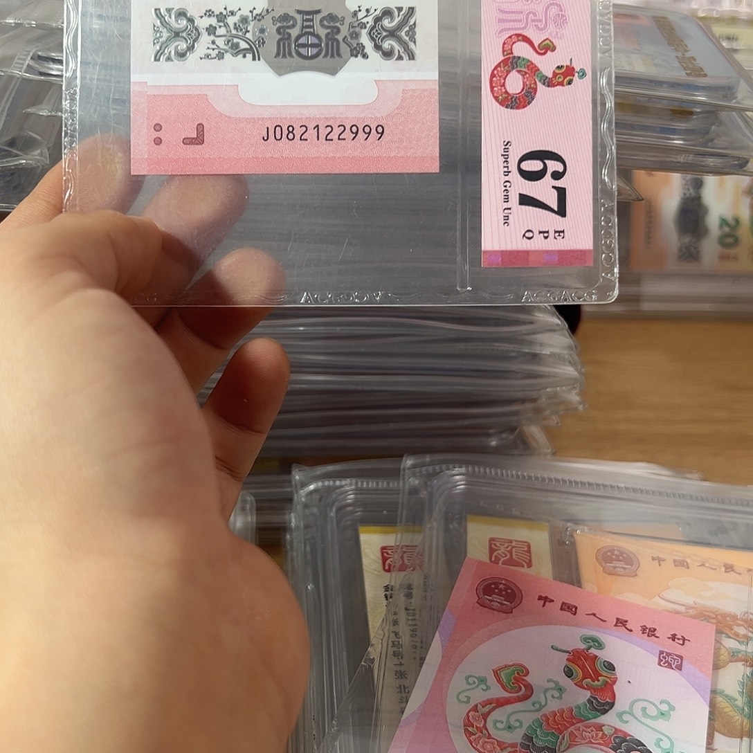 塑料082122999蛇单张